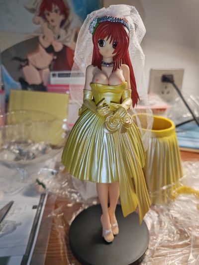 ToHeart2 XRATED 向坂環 -Mariage（マリアージュ）- irisawa限定版