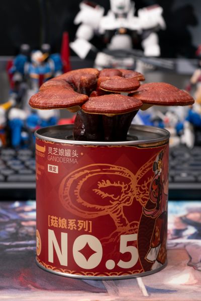 菇娘系列·No.5·如意灵芝
