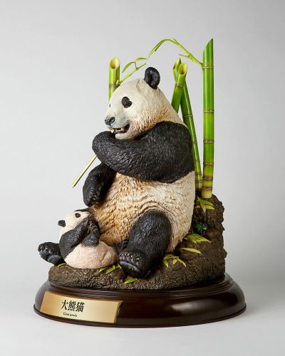 NATURE TALES 大熊猫