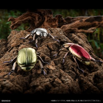 高级生物大图鉴 白金蜣螂 与 彩虹锹甲 展示架套装