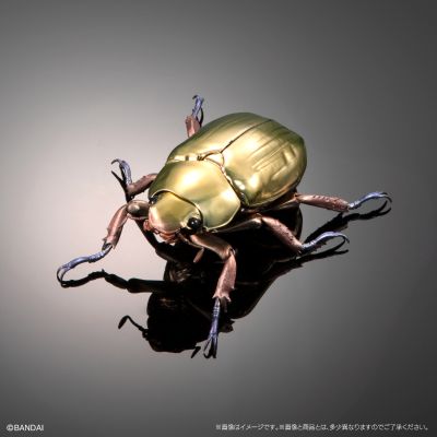 高级生物大图鉴 白金蜣螂 与 彩虹锹甲 展示架套装