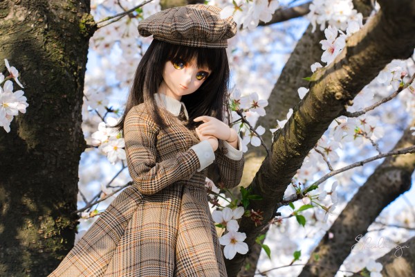 Dollfie Dream DD 白色相簿 森川由绮