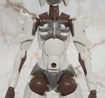 无限邂逅 追踪者