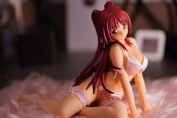 ToHeart2 向坂环 宮沢模型限定版