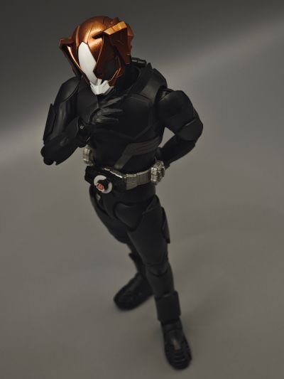 S.H.Figuarts  愿望大奖赛 登录形态套装