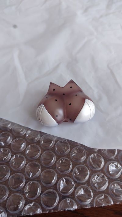 碧蓝航线 皇家方舟 纯白的守护者