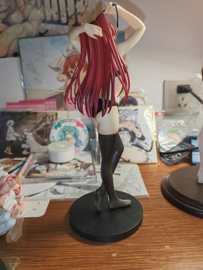 ToHeart2 XRATED 向坂环 プライベートVer. 通常版 