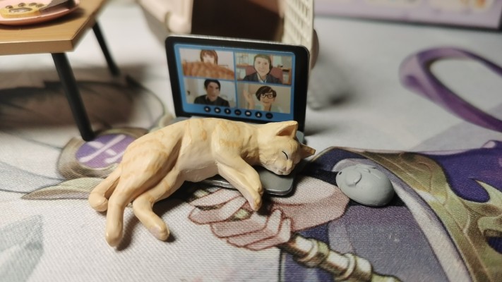 小小样品 猫田的日常