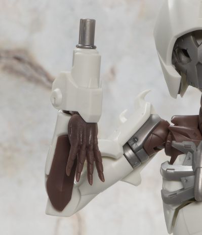 无限邂逅 追踪者