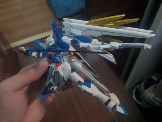 HG 1/144  非凡强袭自由高达