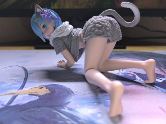 Desktop Cute Re:从零开始的异世界生活 雷姆~猫咪居家服~新装版