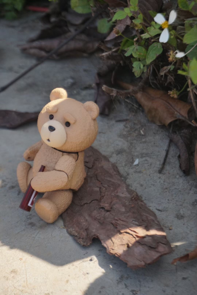 MOVIE REVO No.006 泰迪熊