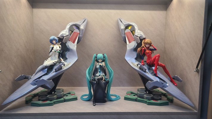 入坑一周年纪念