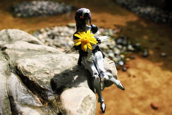 无限邂逅 初学者