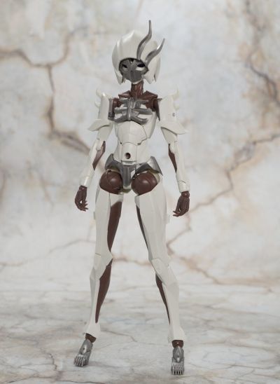 无限邂逅 追踪者