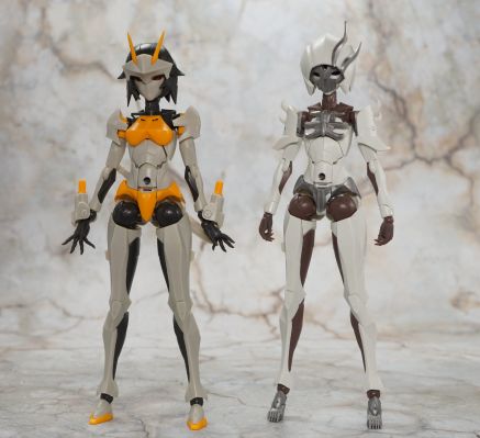 无限邂逅 追踪者