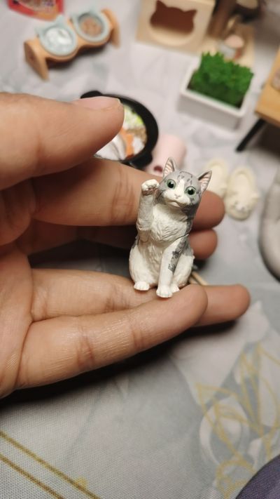 小小样品 猫田的日常