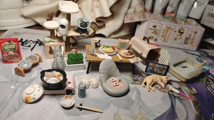 小小样品 猫田的日常