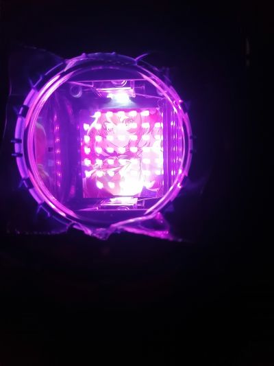 假面骑士歌查德系列 变身腰带 DX多雷德驱动器