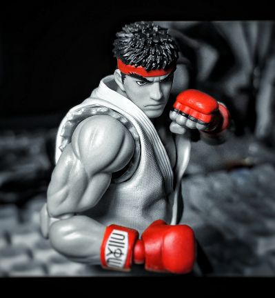 S.H.Figuarts 街霸系列 隆 -服装2-