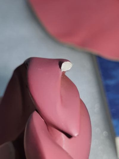 大图书馆的牧羊人 小太刀凪