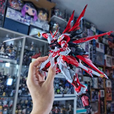 RG 1/144 MSN-04FF 沙扎比