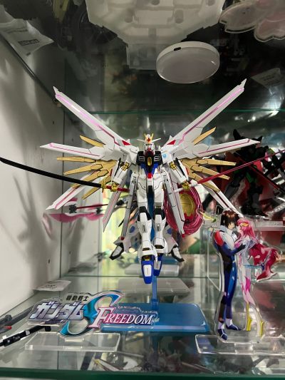 HG 1/144  非凡强袭自由高达