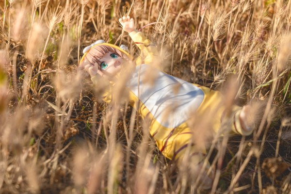 Palette 我家的猫是可爱女孩 换装系列 老虎黄豆粉