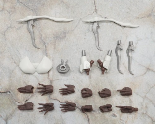 无限邂逅 追踪者