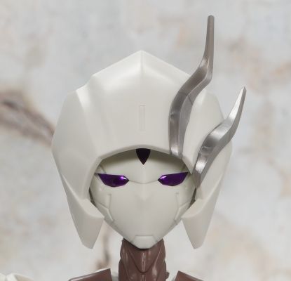 无限邂逅 追踪者