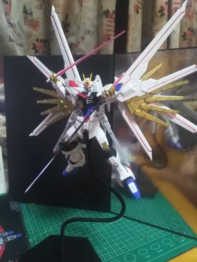 HG 1/144  非凡强袭自由高达