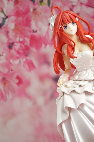 一番赏 五等分的新娘∬ 中野四叶 花嫁 D赏