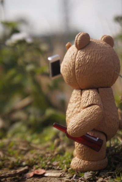 MOVIE REVO No.006 泰迪熊