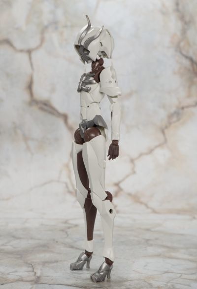 无限邂逅 追踪者