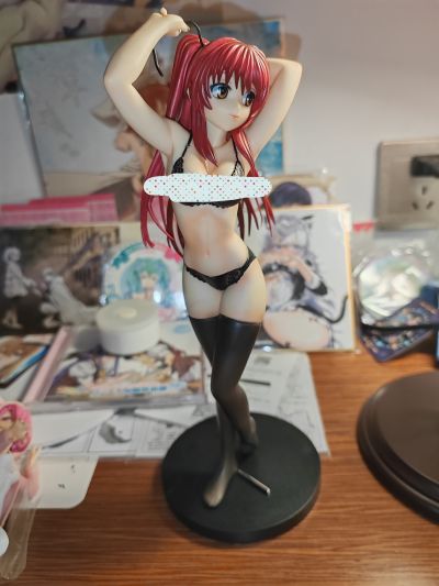 ToHeart2 XRATED 向坂环 プライベートVer. 通常版 