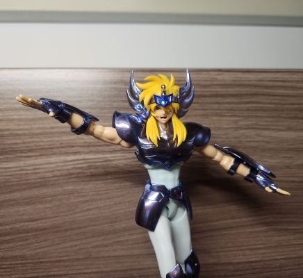 圣斗士圣衣神话EX  天鹅座冰河（终极青铜圣衣）