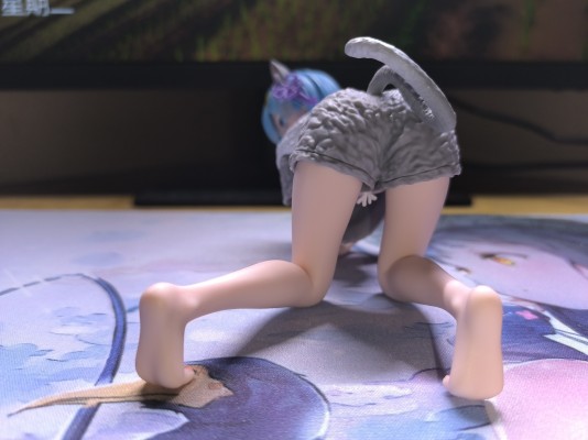 Desktop Cute Re:从零开始的异世界生活 雷姆~猫咪居家服~新装版