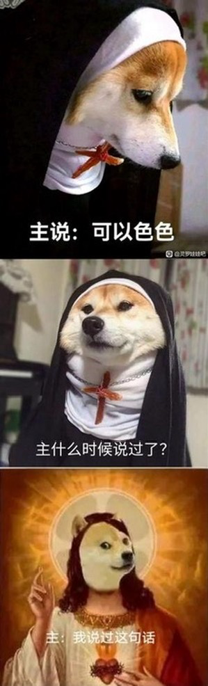 修女 夏洛特 神圣白色