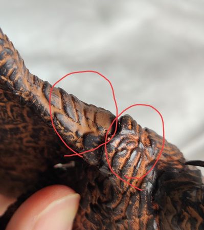 极致超值系列 哥斯拉2：怪兽之王 拉顿 烈焰降生