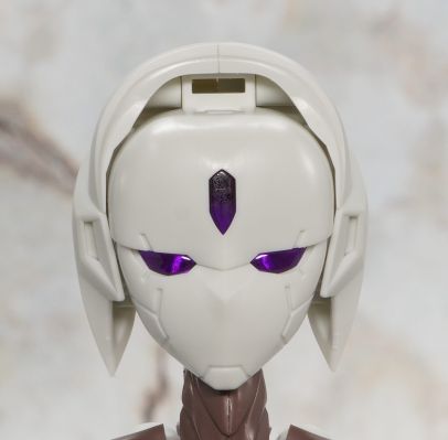 无限邂逅 追踪者