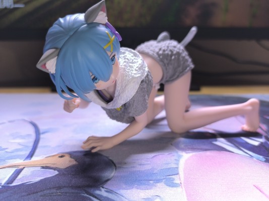 Desktop Cute Re:从零开始的异世界生活 雷姆~猫咪居家服~新装版