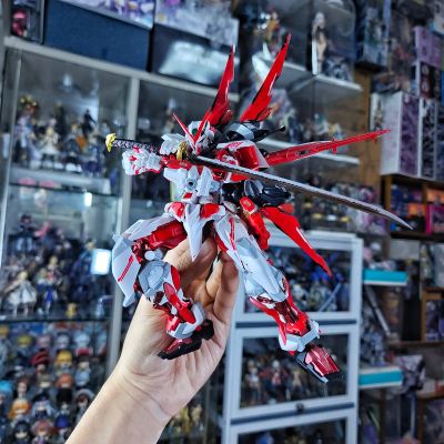 RG 1/144 MSN-04FF 沙扎比