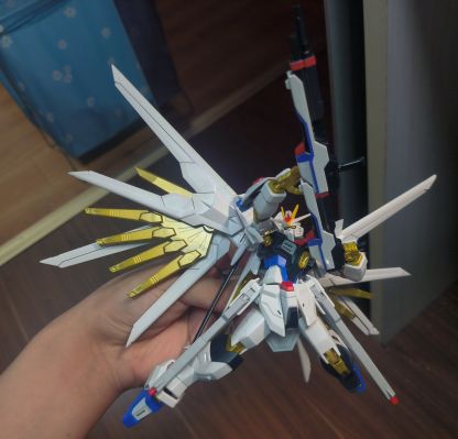 HG 1/144  非凡强袭自由高达