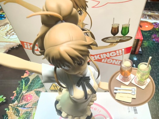 迷糊餐厅!! 种岛白杨