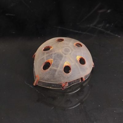 HCM Pro 夏亚专用魔蟹