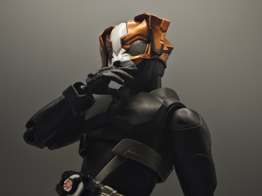 S.H.Figuarts  愿望大奖赛 登录形态套装