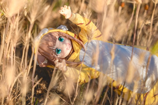 Palette 我家的猫是可爱女孩 换装系列 老虎黄豆粉