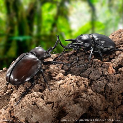 高级生物大图鉴  象兜虫 与 长戟大兜虫 展示架套装