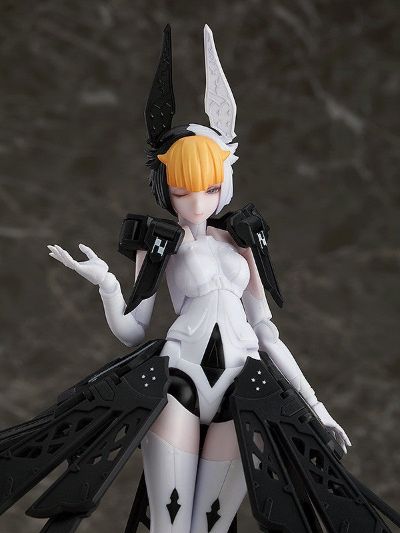 chitocerium ornatio .face 0.2.0.4.0. β