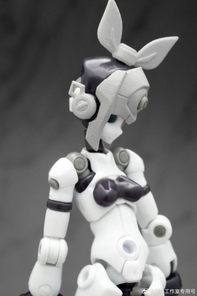 基因干涉系列 多米 素体套装